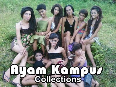 26 Jenis Ayam Hias Unik, Aneh,Lucu dan Menarik
