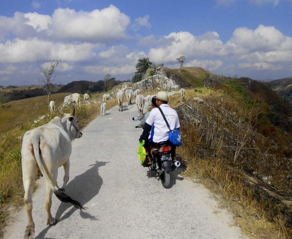 Taman Listrik Tenaga Angin, Sumba Timur &#91;Behind The Scene&#93;