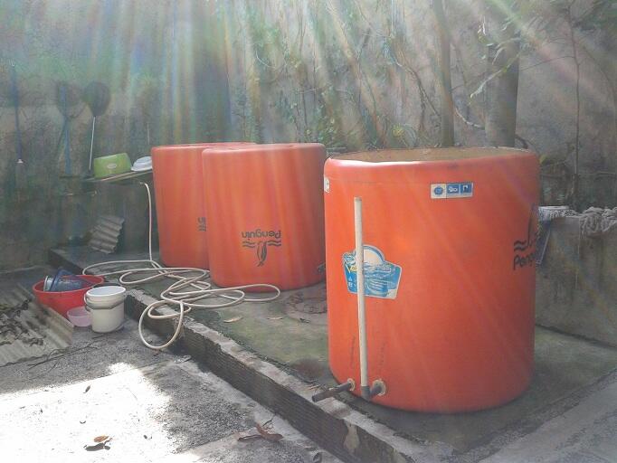 Jual Kolam Ikan Plastik Daerah Tangerang dan Sekitarnya