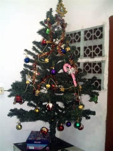 Asal usul Pohon Cemara Jadi Simbol Natal, Wajib Baca Gan....