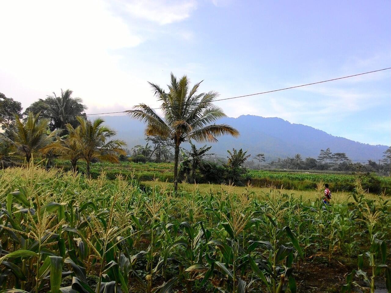 Tempat Indah Bernama Cihunjuran