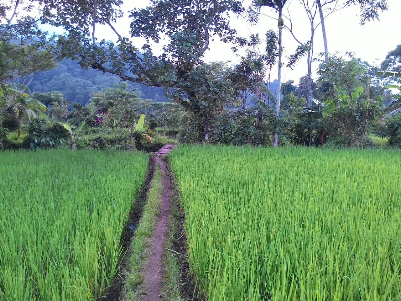 Tempat Indah Bernama Cihunjuran