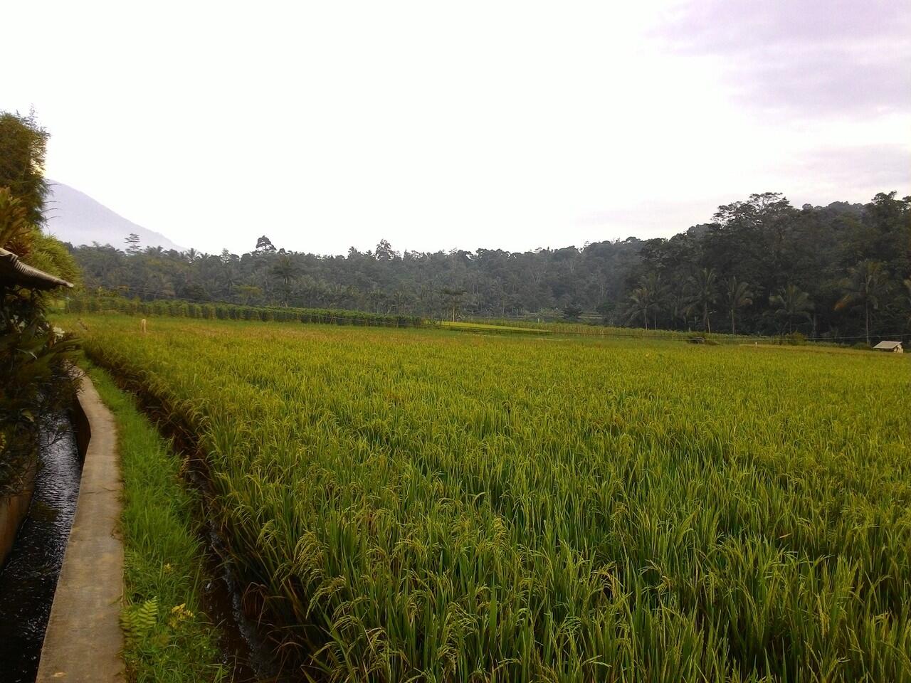 Tempat Indah Bernama Cihunjuran