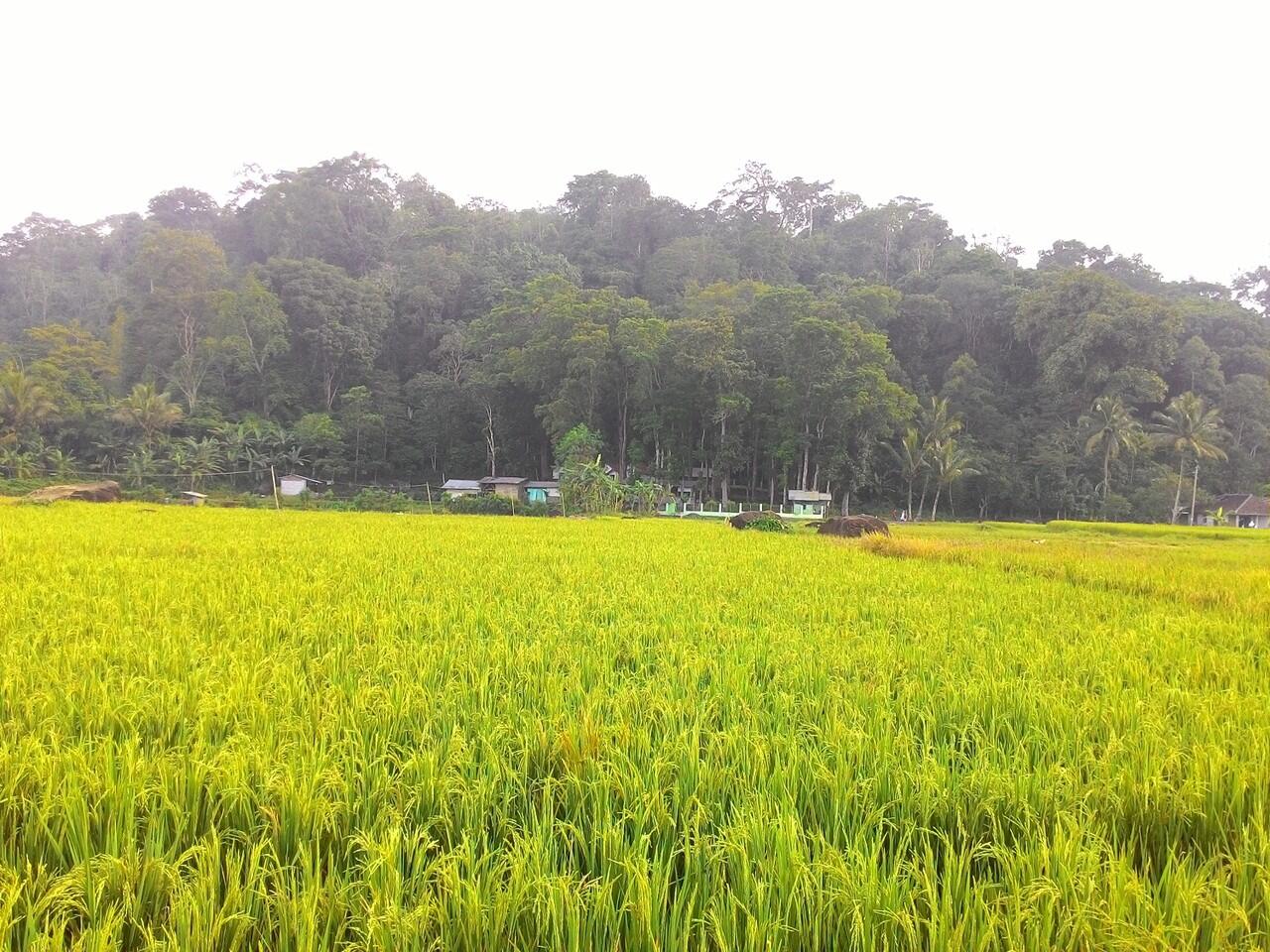 Tempat Indah Bernama Cihunjuran