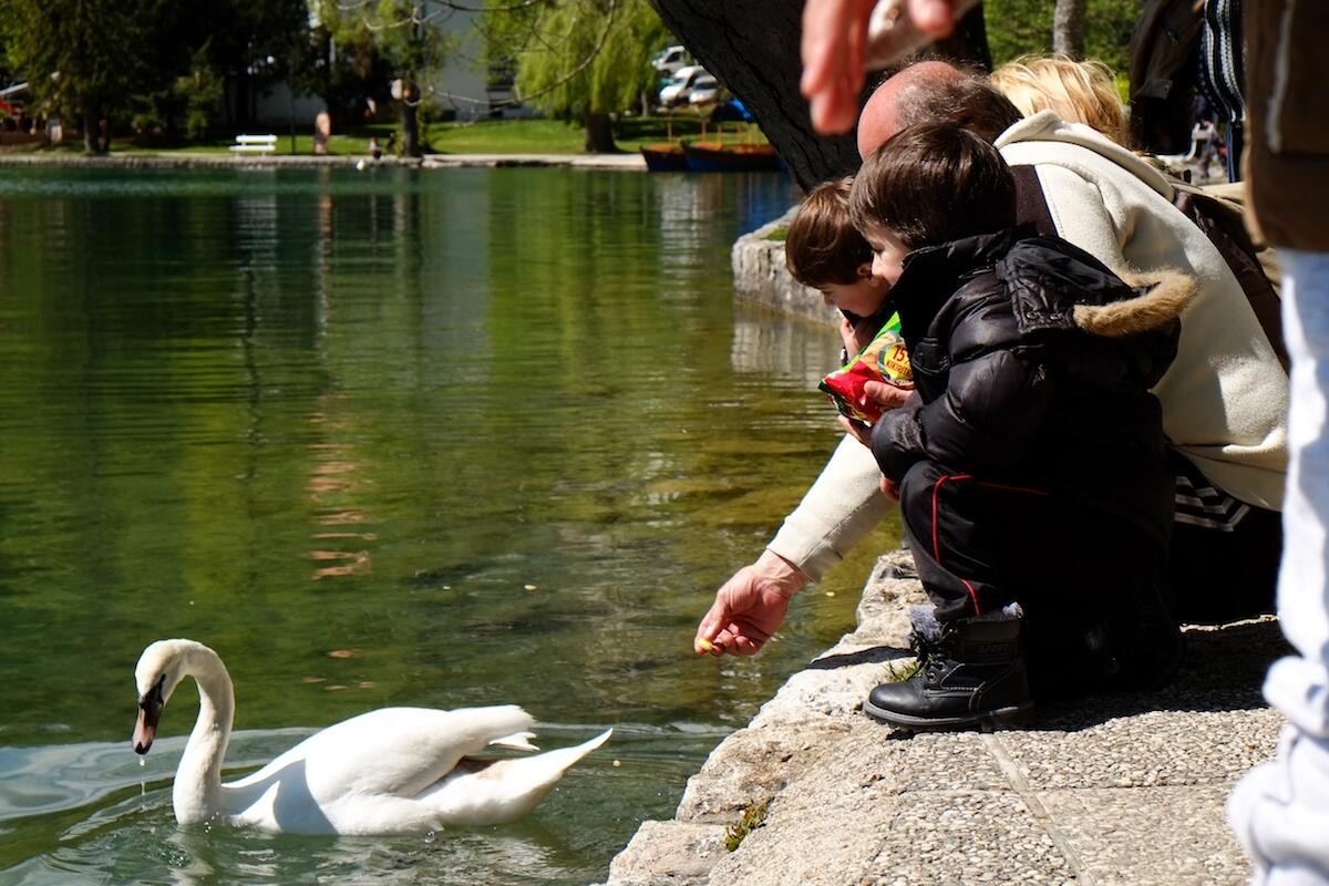 FR - Slovenia April 2014