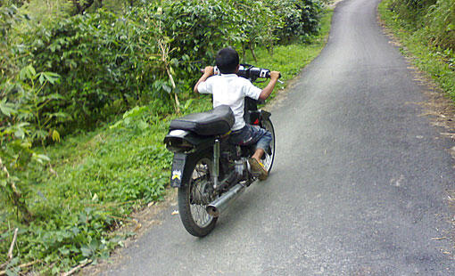 TRAFFIC DISASTER