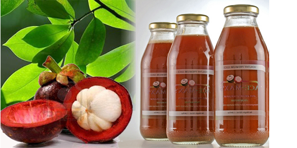 Obat Kista | ( Herbal Kasta Tertinggi )