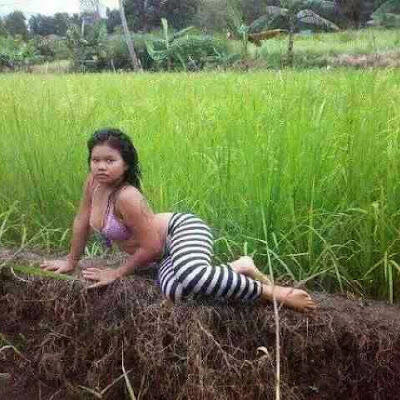 Ajarkan anak anjingmu berhenti menggigit