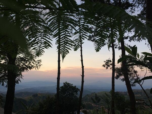 &#91;CATPER&#93; Menggapai Puncak Tertinggi Jawa Barat, Gungun Ciremai.