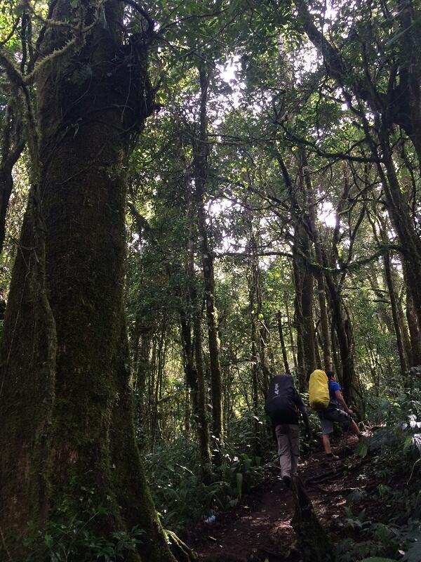 &#91;CATPER&#93; Menggapai Puncak Tertinggi Jawa Barat, Gungun Ciremai.