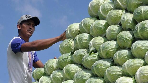 Celaka karena Salah Makan Sebelum Naik Pesawat, ini tipsnya