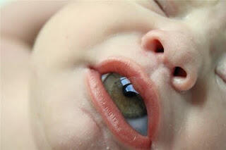 Extreme Photoshop!