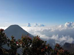 Inilah Orang Eropa Pertama Yang Mendaki Gunung Gede