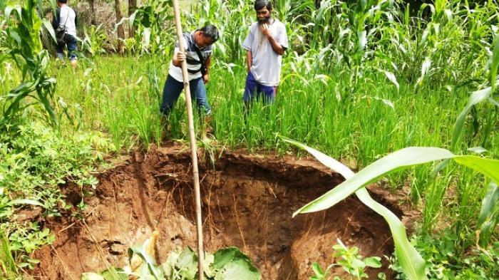 Fenomena Aneh di Gunungkidul, Mendadak Muncul Lubang Besar dari Ladang Warga