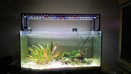 Terjual Lampu M.Y LED diy aquarium  KASKUS