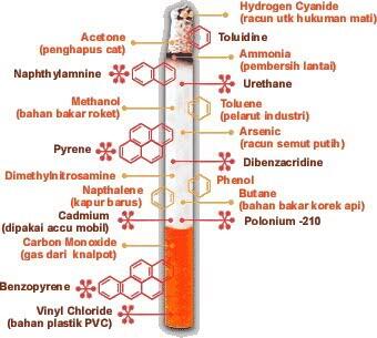 GA ADA HABISNYA PEROKOK :CAPEDES