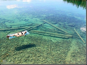 FOTO *UNIK TAPI NYATA* DARI
PENJURU DUNIA