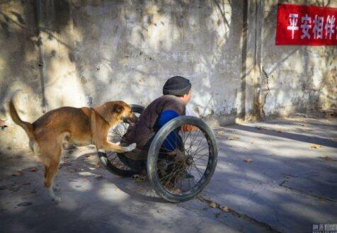 Kesetiaan anjing pada tukang sol sepatu yang lumpuh
