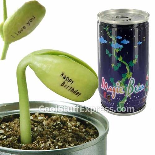 Minta Pencerahan IMPORT BARANG DR CHINA