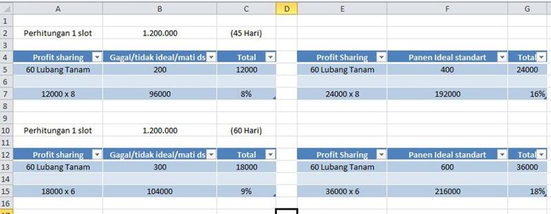 (Malang) Need Investor, Hidroponik, Short/Long Term, Low Budget, Low Rish Med Profit.