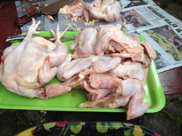 PELUANG BISNIS•••Jual ayam lgs dr kandang•••