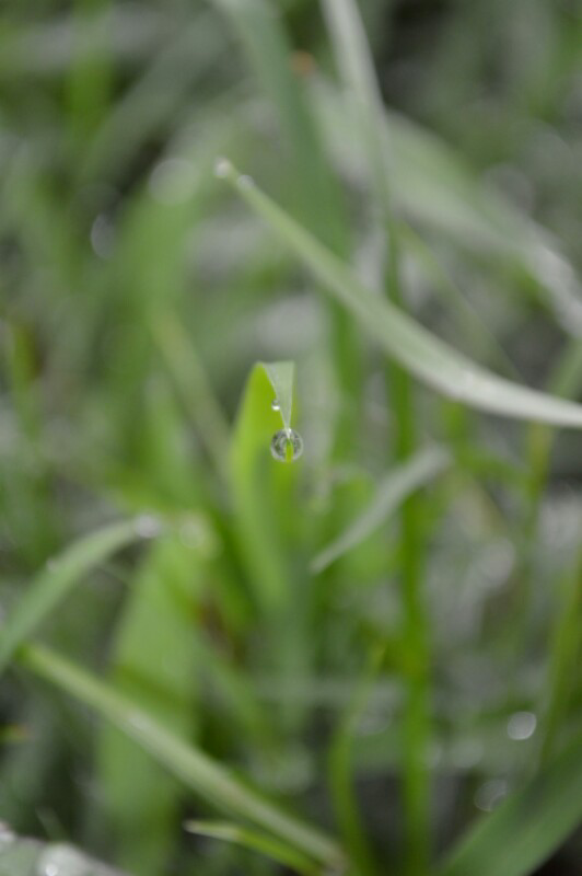 Share Hasil Jepretan Lensa Std DSLR/HP gan