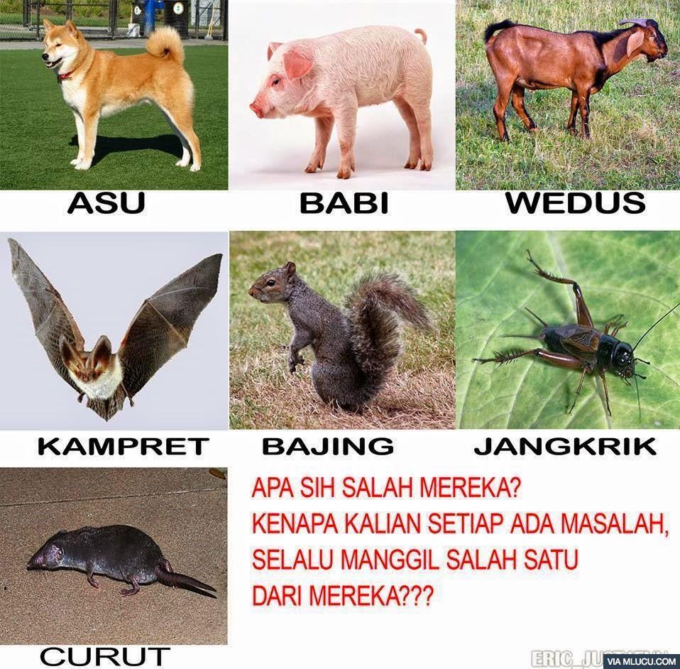 Dapet foto foto lucu gan (Lokal nih) 