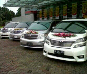 SEWA / RENTAL Alphard vellfire White Wedding car termurah di jakarta