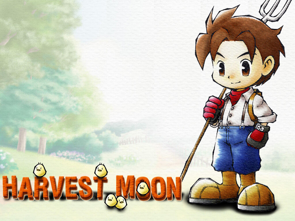 Pelajaran yang bisa kita ambil untuk bisnis/karil kita dari game harvest moon