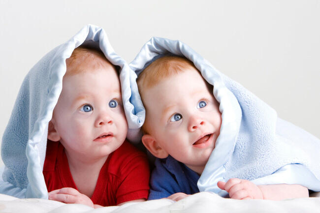 Beberapa Fakta Menarik Tentang Anak Kembar