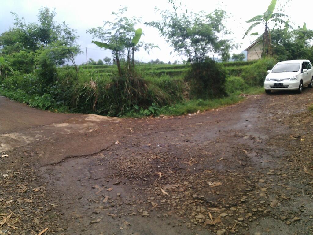 Jual Cepat Tanah Sawah Pinggir Jalan Hook Bandung