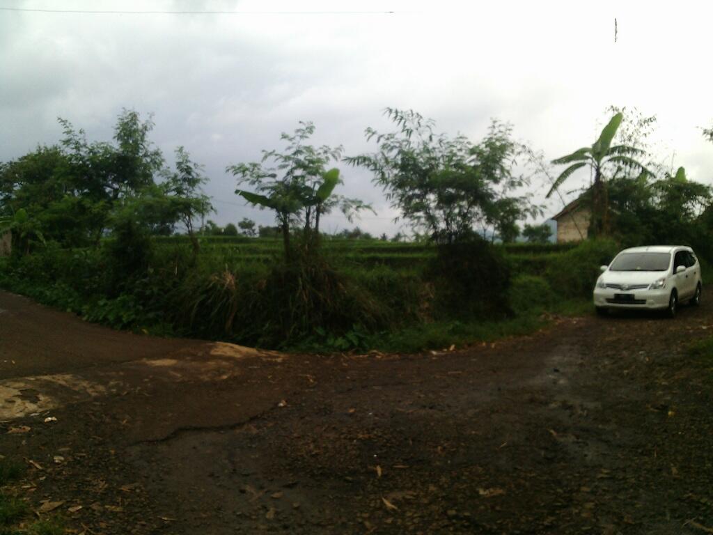 Jual Cepat Tanah Sawah Pinggir Jalan Hook Bandung