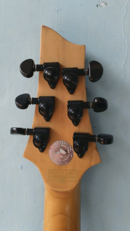schecter Damein Riot FR mulluusss terawat !!