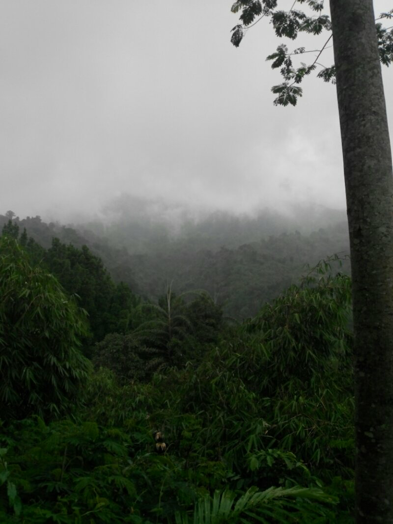 perjalanan ke curug batu blek