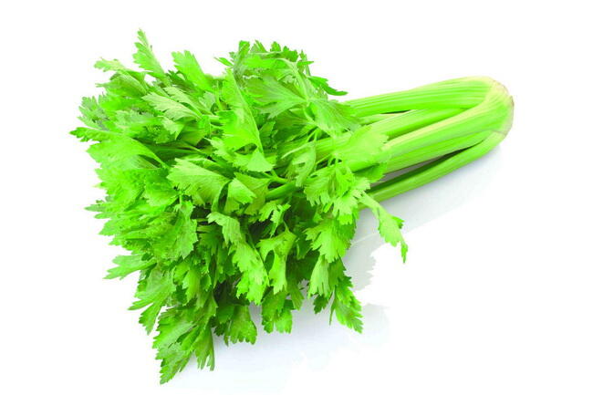 10 Jenis Tanaman Obat dan Manfaatnya