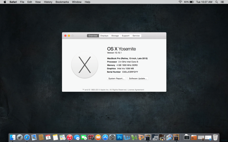 MacBook Pro retina display 13" mules