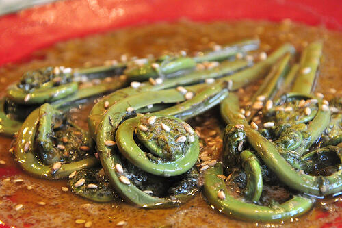 MACAM-MACAM GULAI.....GULAI LOVERS..MASUK!