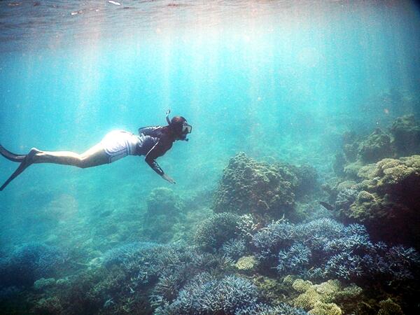 SELAMI LAUT DAN DAKI GUNUNG KRAKATAU HARI KEMERDEKAAN 15 - 17 AGUSTUS 2015