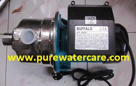 Pompa Stainless Buffalo 250 watt