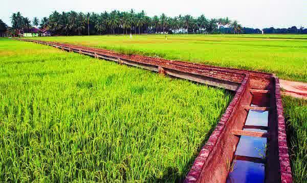 Ini yang terjadi !! Kalau korupsi sampai gak ada