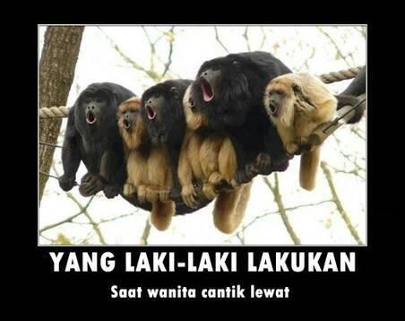 Penghiburan di pagi hari....