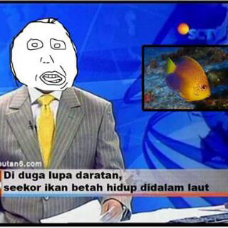 Kumpulan Gambar Lucu! &#91;Masuk Gan!&#93;