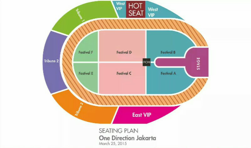 FESTIVAL 1D CONCERT TICKET