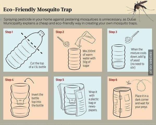 Cara Nangkep Nyamuk Paling Efektif, Efisien dan Berhasil 