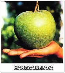 ▓▓ = KAMPUNG MANGGA = ▓▓