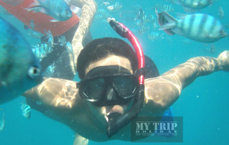 Paket Wisata Murah Karimun Jawa, Banyuwangi, Bali, Jogja