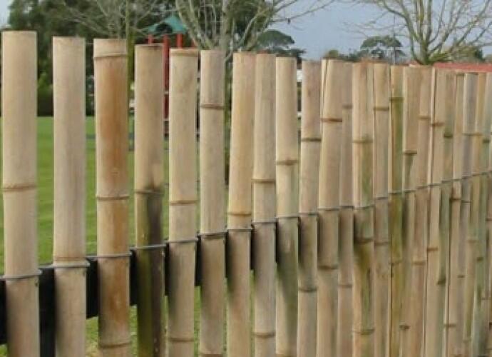 Kenapa Bambu  Berperan Penting Bagi Kehidupan Kita KASKUS