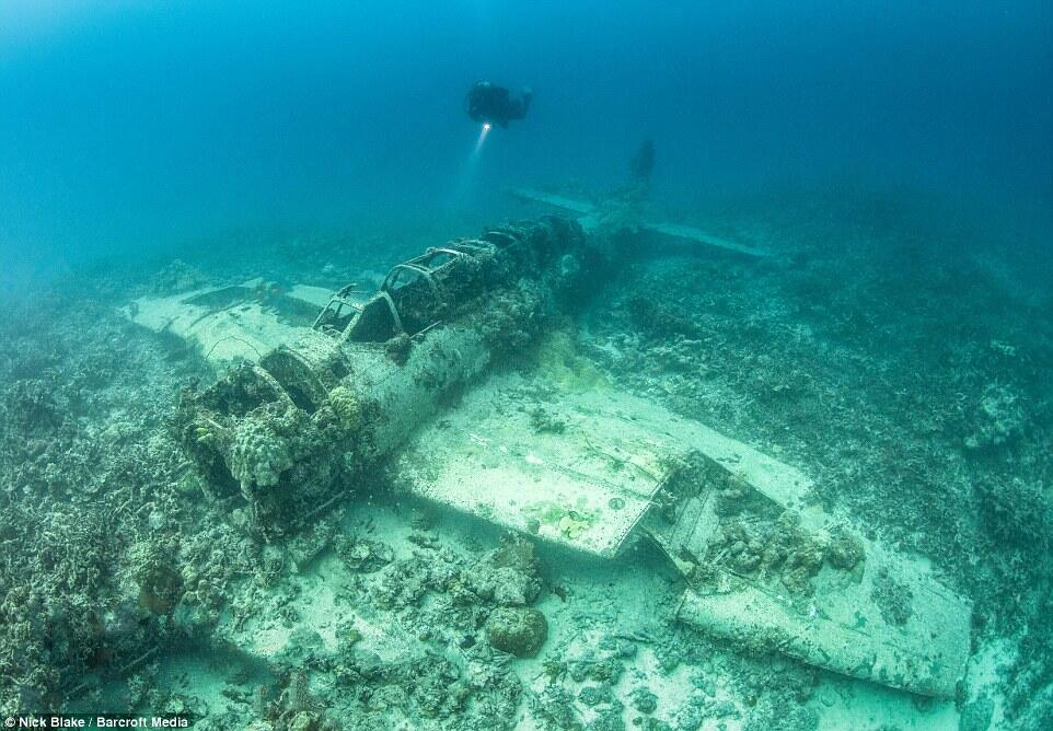 Kuburan Ratusan Pesawat Dasar Laut Terbesar di Dunia