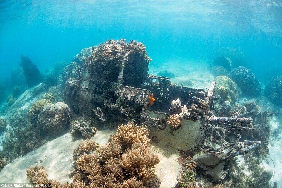 Kuburan Ratusan Pesawat Dasar Laut Terbesar di Dunia