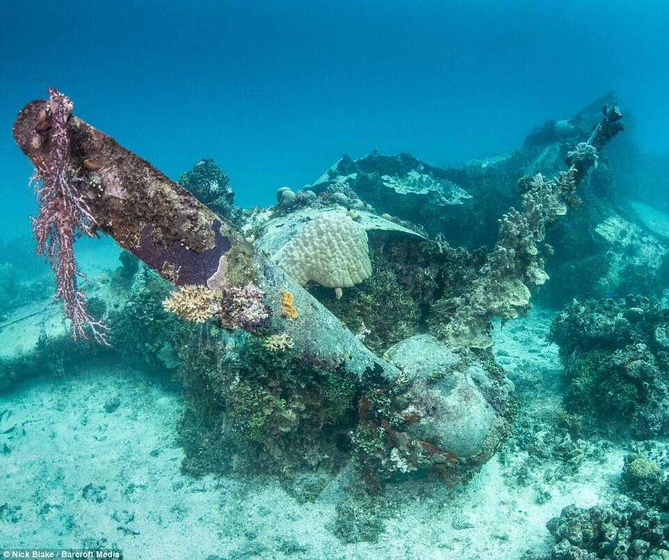 Kuburan Ratusan Pesawat Dasar Laut Terbesar di Dunia